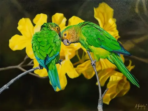 Intimacy/Prikichis Aruba by Armando Goedgedrag