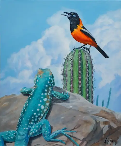 Tension/Trupial and Kododo Aruba by Armando Goedgedrag