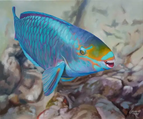 Resilience/Queen Parrotfish by Armando Goedgedrag