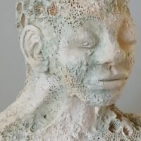 All is Connected / Coral Head 7