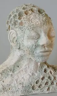 All is Connected / Coral Head 7