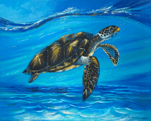 Turtle in blue water