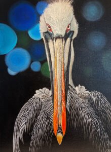 Pelican