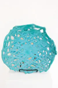 Nest