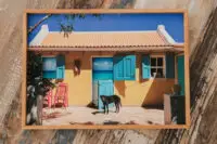 Open Doors Man's Best Friend XL