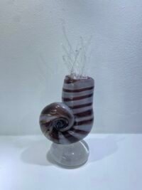 Violet ammonite