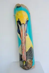 Bamboo Pelican