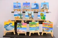 Mini Canvas S