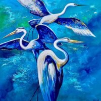 White egrets