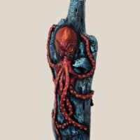 Octocus Aruba