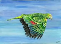 flight of freedom