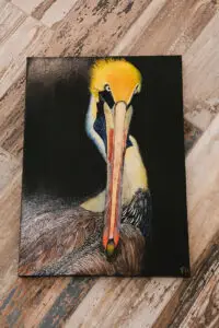 Angry Pelican