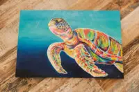 Rainbow Turtle