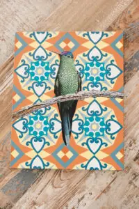 Tiled Colibri