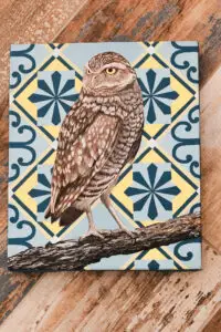 Tiled Owl