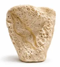 written in stone-2