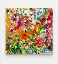 rise in color