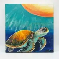 Sunset Tortuga