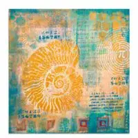 Ratio Ii