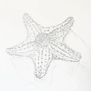 Red Starfish