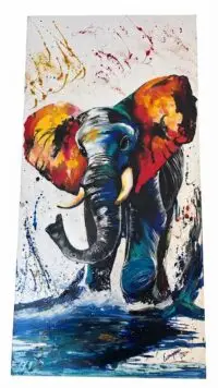 Colorful Elephant