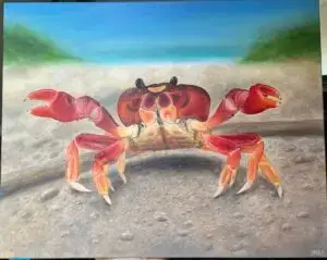 Red Land Crab