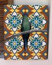 Colibri duo