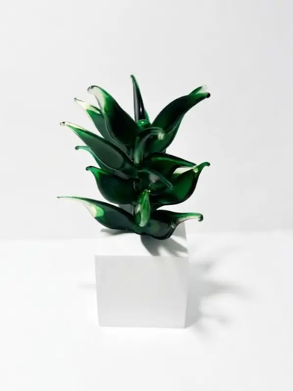 Botanica Altera by Deborah de Weerd – ArtisA Aruba