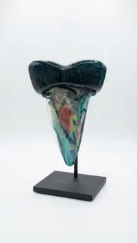 Dichroic Sharks Tooth