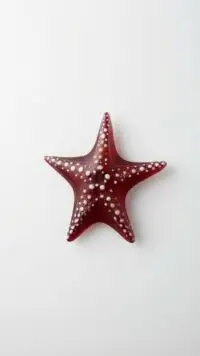 Orange Starfish