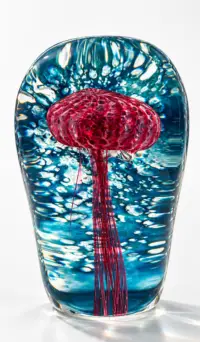 Pink Jellyfish with background