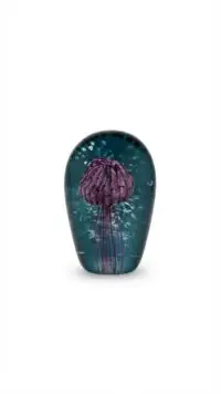 Purple Jellyfish with Background