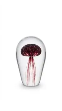 Red Jellyfish