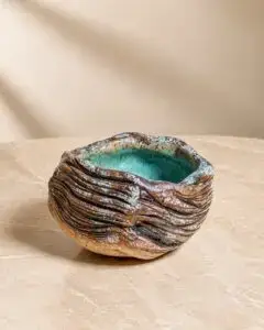 TIDEPOOL BOWL