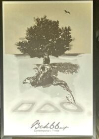 Fofoti Framed