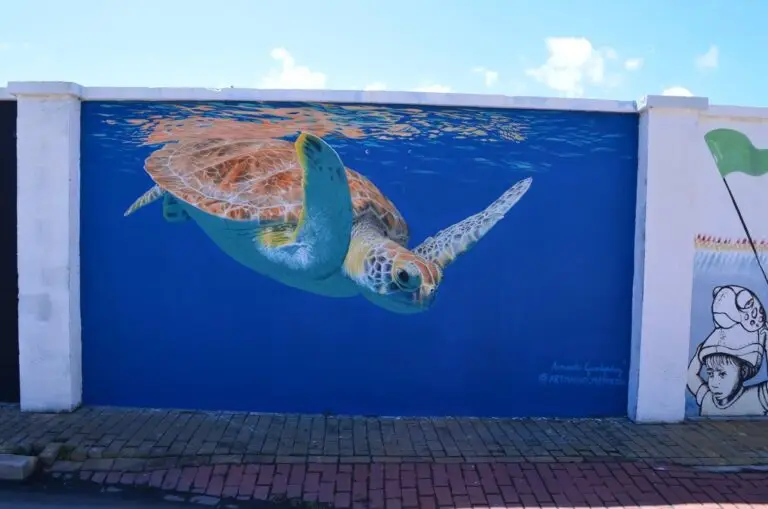 Sea Turtle
