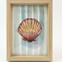 Shell and Stripes