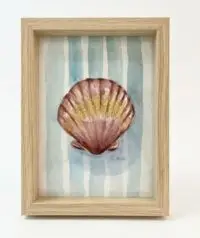 Shell and Stripes