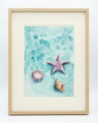 Shells on the shore