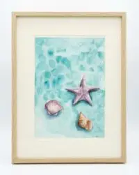 Shells on the shore