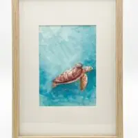 Turtle Small