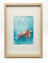 Turtle Small