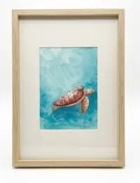 Turtle Small